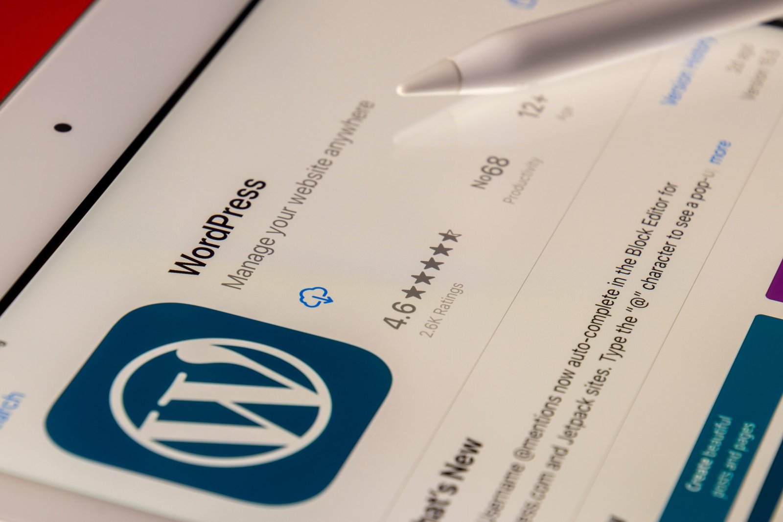 A Complete WordPress Guide for Beginners