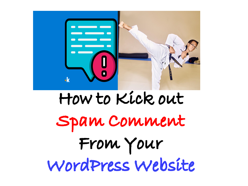 spam comment in wordpress